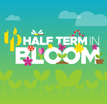 Half Term in Bloom