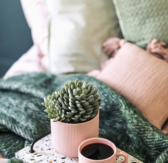 Pink and green bedding with pots of plants and a coffee