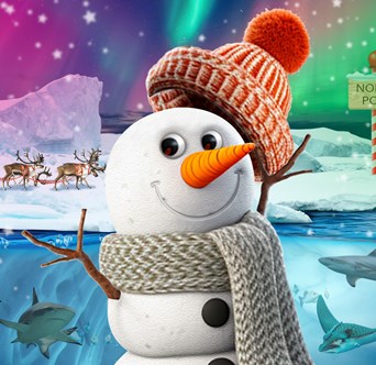 Snowy Snowman at SEA Life