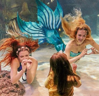 SEA LIFE mermaids